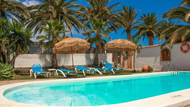 A swimming pool with blue water, surrounded by palm trees and blue lounge chairs.