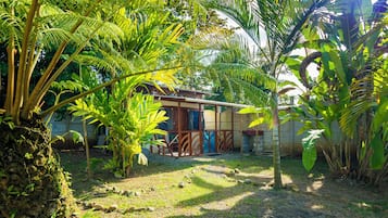 Estudio básico, patio, vista al jardín | Wifi gratis