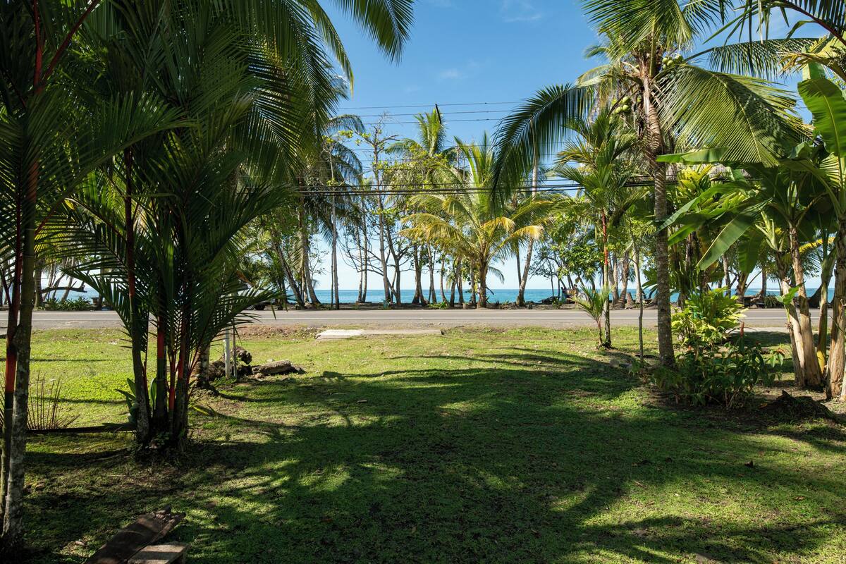 A tropical setting with palm trees and a clear view of the ocean.