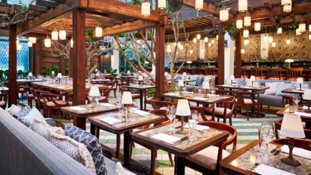 Un restaurant en plein air avec des tables et des chaises en bois, des guirlandes lumineuses et une ambiance chaleureuse.