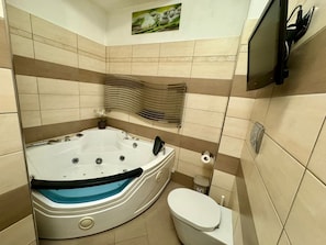 Shower, jetted tub, hair dryer, bidet