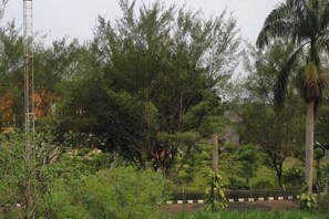 Exterior - Green Homestay (Junrejo)