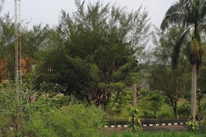 Unclassified image, 4 of 15, button - Green Homestay (Junrejo)