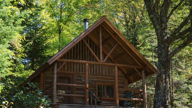 Eine Blockhütte mit Veranda, umgeben von Bäumen.