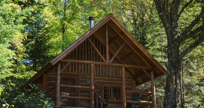 Wildlife Haven, Remote Cabin, Boats Included, Shared Bath