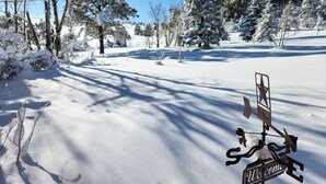 A snow-covered landscape with a welcome sign and a star symbol. - Colorado Cottage located at 7200 feet, near to Colorado Springs. (Elbert)