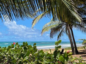 Beach nearby, sun loungers, beach towels