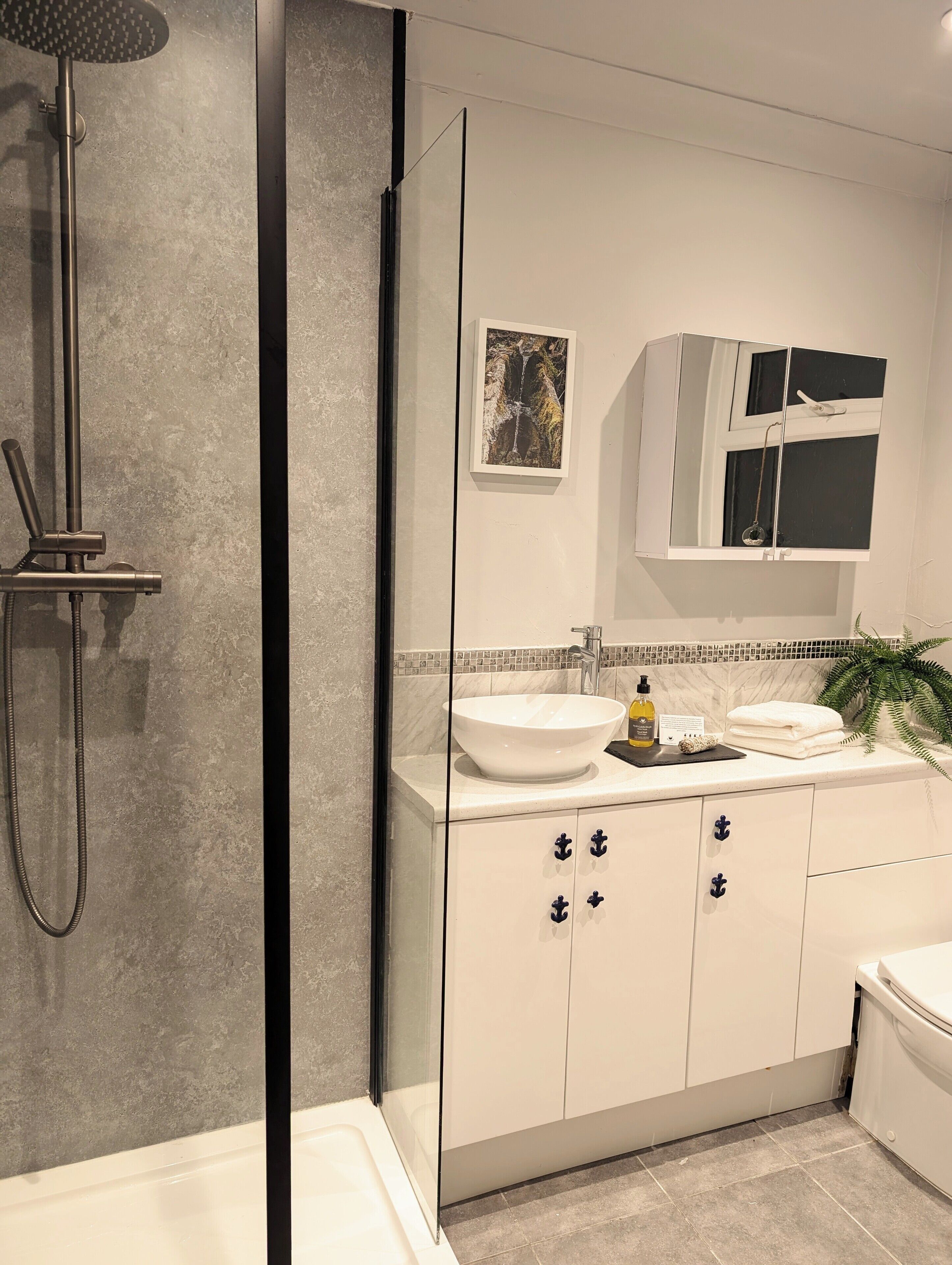 Shower, towels, soap, toilet paper