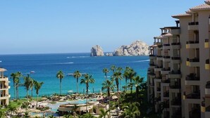 A resort with a pool, palm trees, and a view of the ocean.