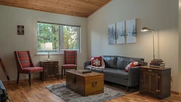 Smart-tv och eldstad