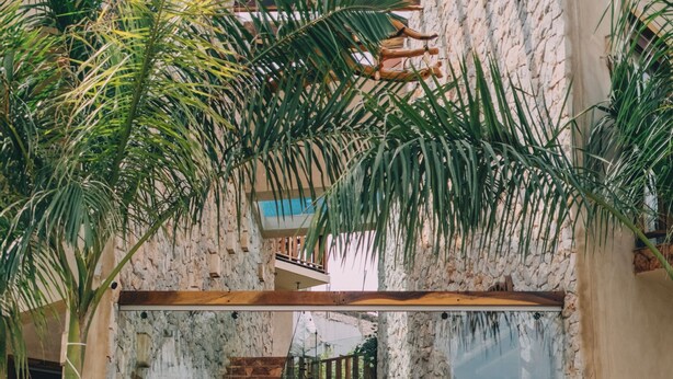 A stone staircase leading to a glass door entrance, surrounded by lush greenery and potted plants. - Mantra Hotel Boutique (Brisas de Zicatela)