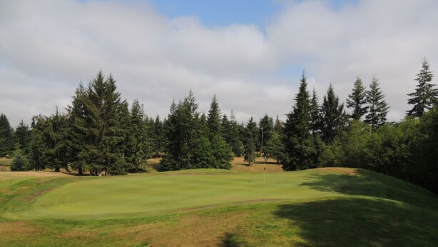 Campo de golf con un putting green, rodeado de árboles densos.