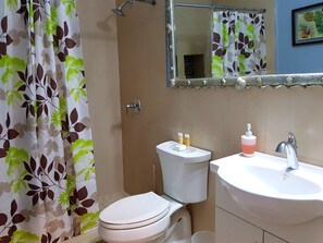 Sèche-cheveux, serviettes fournies, papier toilette