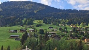 Un paysage de montagne bucolique, avec un grand bâtiment en bois au premier plan, entouré de champs verdoyants et d’une colline boisée.