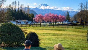 Two people sitting on wooden chairs facing a grassy field with a mountain and pink trees in the background. - Rainier Ranch & Poolside Escape (Enumclaw)
