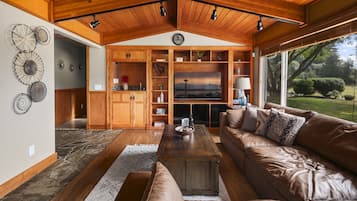 Televisor intel·ligent, llar de foc i llibres