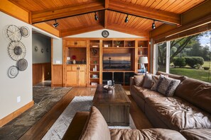 Smart TV, fireplace, books
