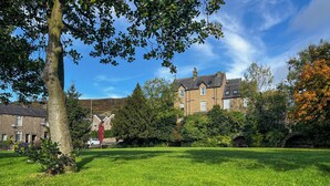 A grassy lawn with a large tree and a stone bridge.