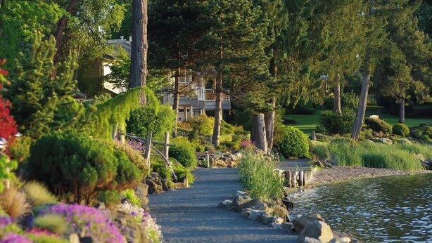 A pathway leading to a house surrounded by lush greenery and a body of water.