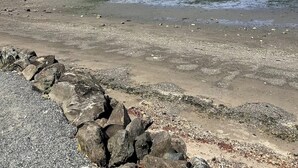 A beach with a rocky foreground and a clear sky.