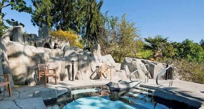 Mermaid Cove - Oceanfront Suite - 2BDRM - Kitchen