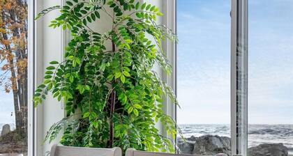 Hideaway at Cedar Island