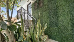 A staircase with a metal railing leading to a door, surrounded by lush greenery and large plants. - Cozy 2-bedroom apartment with AC, WiFi in charming Cabo San Lucas (Cabo San Lucas)