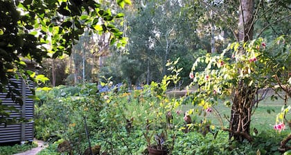 A Hidden Gem Denmark Escape by the Lake