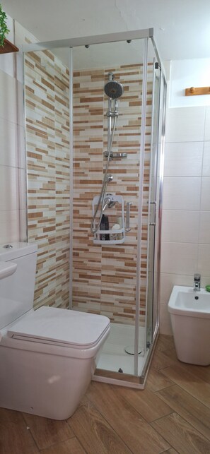 Regadera, secadora de cabello, bidet, toallas 