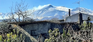 Imagen general