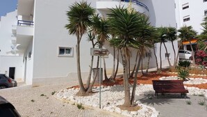 Un bâtiment doté de nombreux balcons, de palmiers et d’une zone pavée avec un banc.
