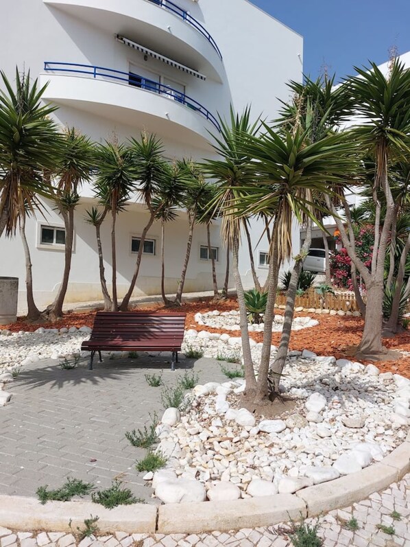 A modern building with a curved facade, a paved courtyard with a bench, and palm trees.