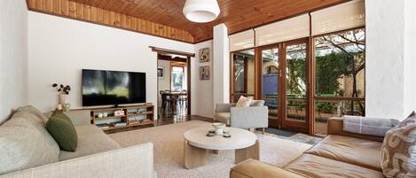 Televisión, chimenea