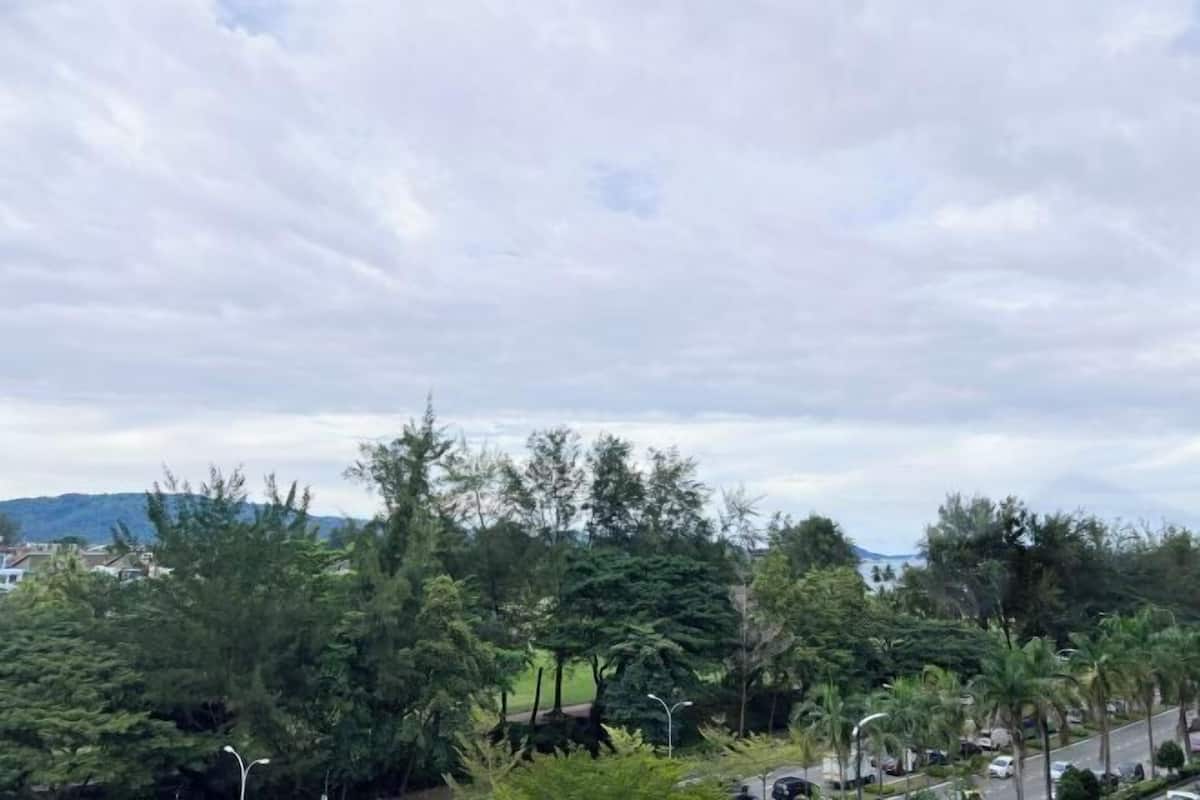 Un quartier résidentiel avec des arbres, une route et des maisons en arrière-plan.