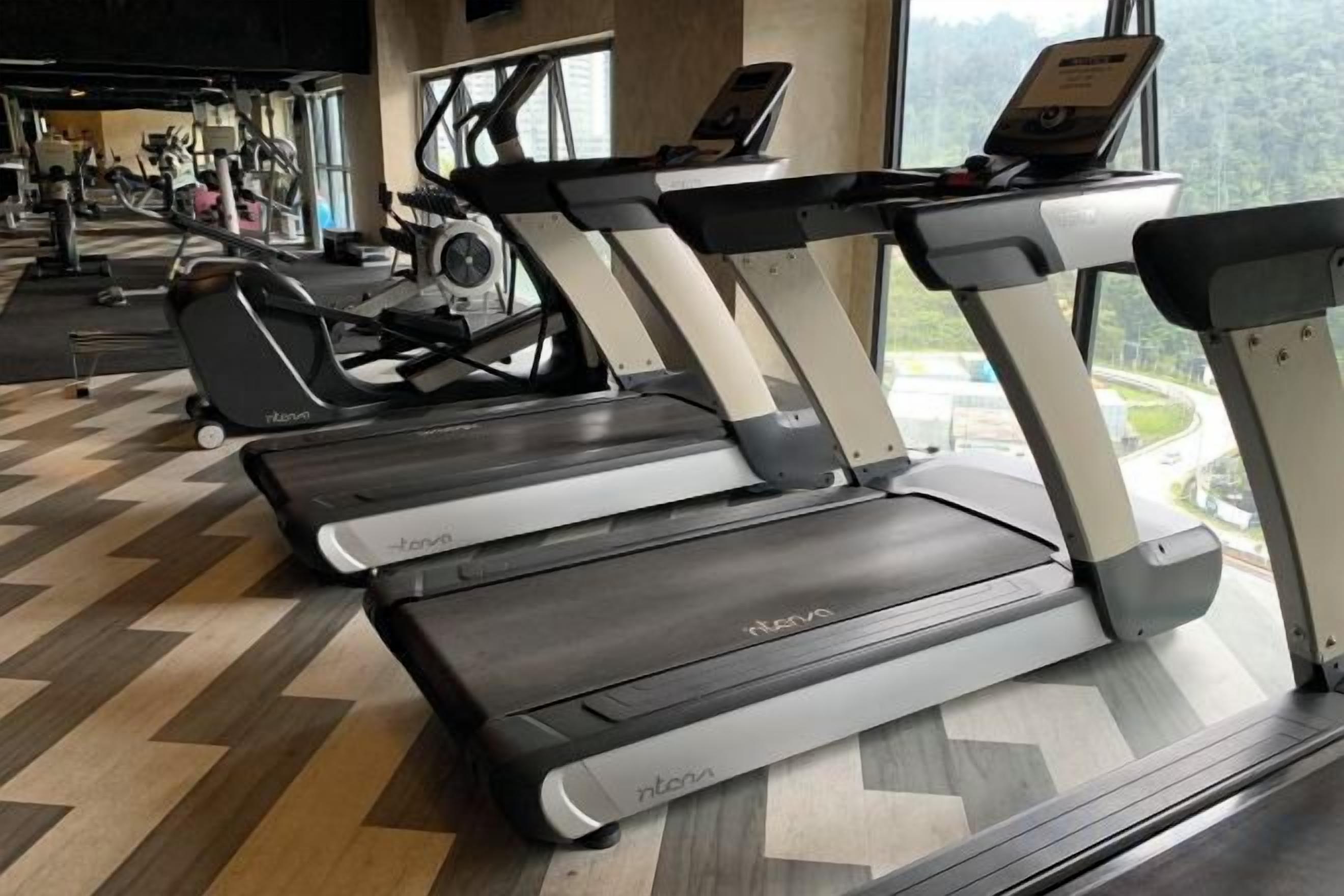 Un gimnasio con cintas de correr y equipo de ejercicio.