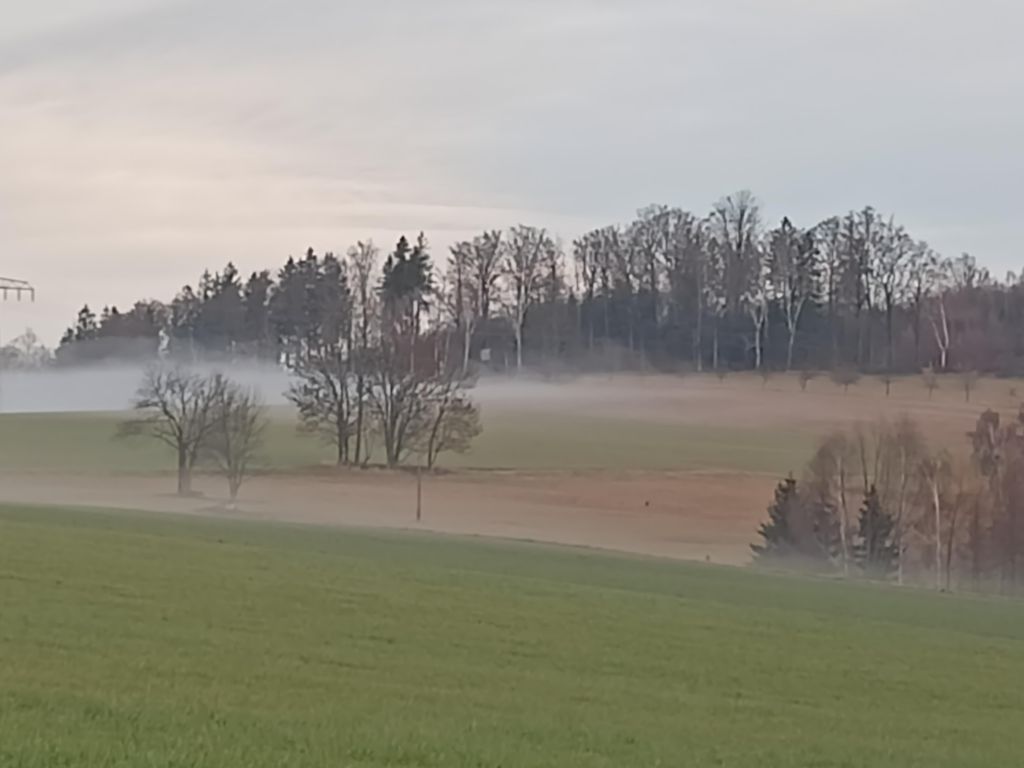 Wolfsgrund 14