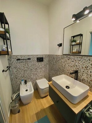 Regadera, secadora de cabello, bidet, toallas 
