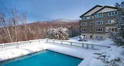 Charming 3-bedroom condo with AC, fitness room, WiFi in marvelous Cambridge