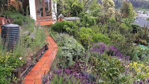 Um jardim com um pequeno edifício branco, um caminho de tijolos e diversas plantas e flores.