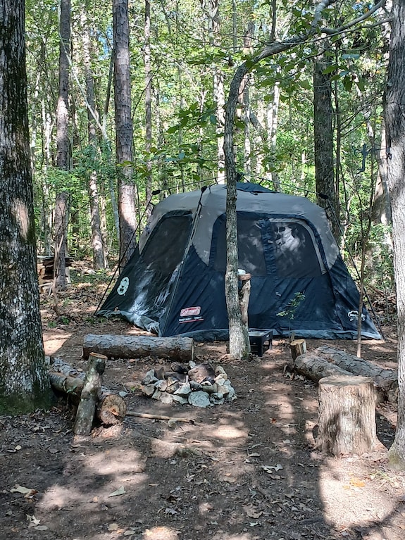 A Crackling Campfire, A Creek & Deer Outside Your Tent & We Have A Nature Trail! - Caroline du Sud