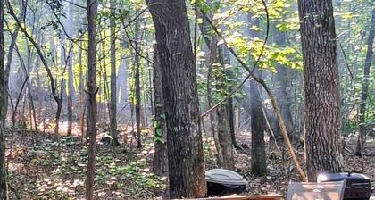 A crackling campfire, a creek & deer outside your tent & we have a nature trail!