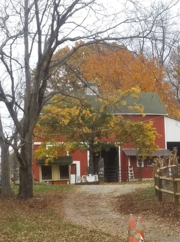 Half whit farm & BB
10 miles from the US open in Oakmont Pa