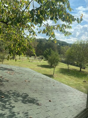 Property grounds - Half whit farm & BB
10 miles from the US open in Oakmont Pa (Leechburg)