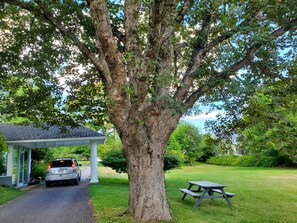 En allé med træer, hvor en bil er parkeret under et tag, et picnicbord og en græsplæne.