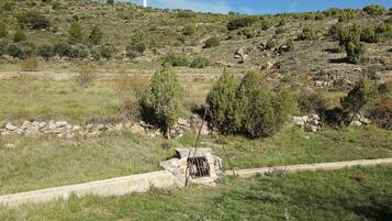 A rural landscape with a stone wall, trees, and a clear sky.