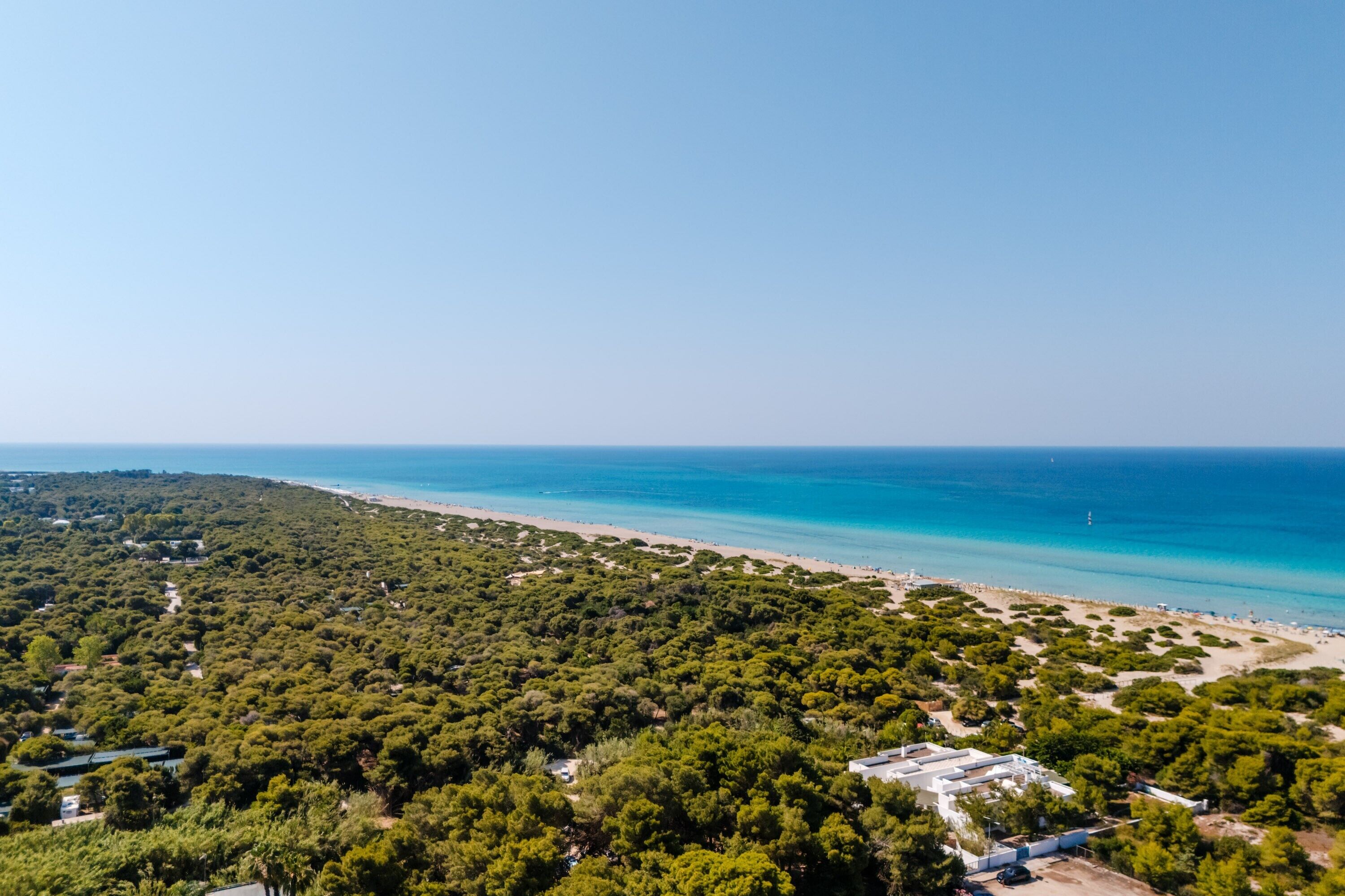 Playa en los alrededores 