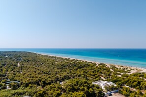 Playa en los alrededores 