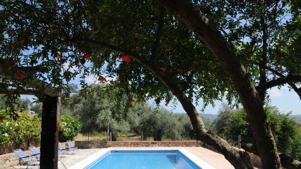 Piscina con sillones de descanso, rodeada de árboles y un muro de piedra.