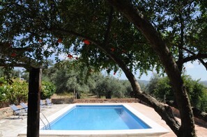 Pool - Eco-friendly Finca Morera with Mountain Views, Private Pool and Private Terrace (Aroche)