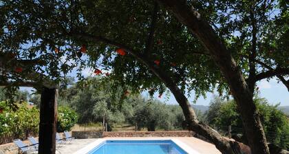 Eco-friendly Finca Morera with Mountain Views, Private Pool and Private Terrace